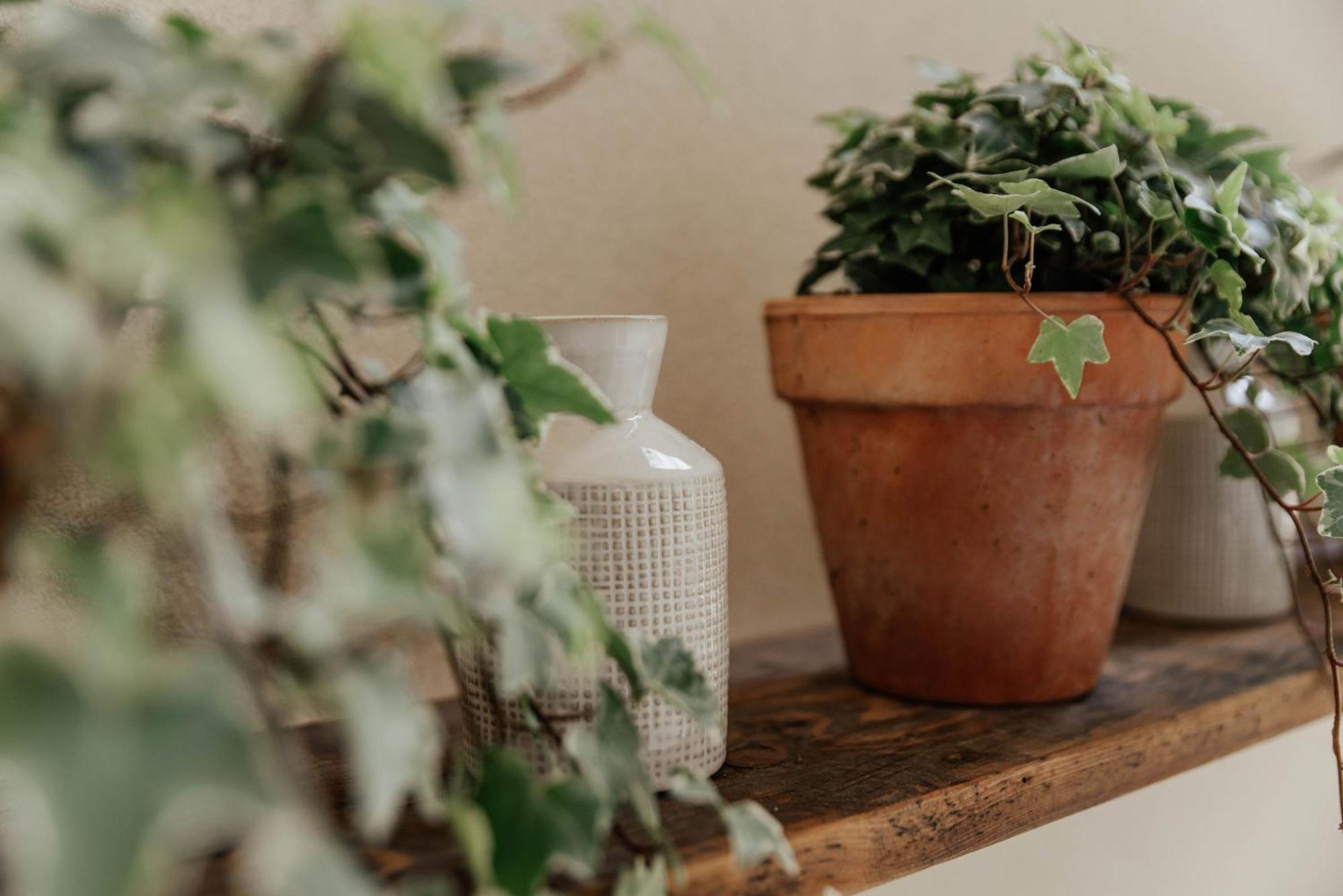 La Cocca Home Bellinzago Novarese Zewnętrze zdjęcie